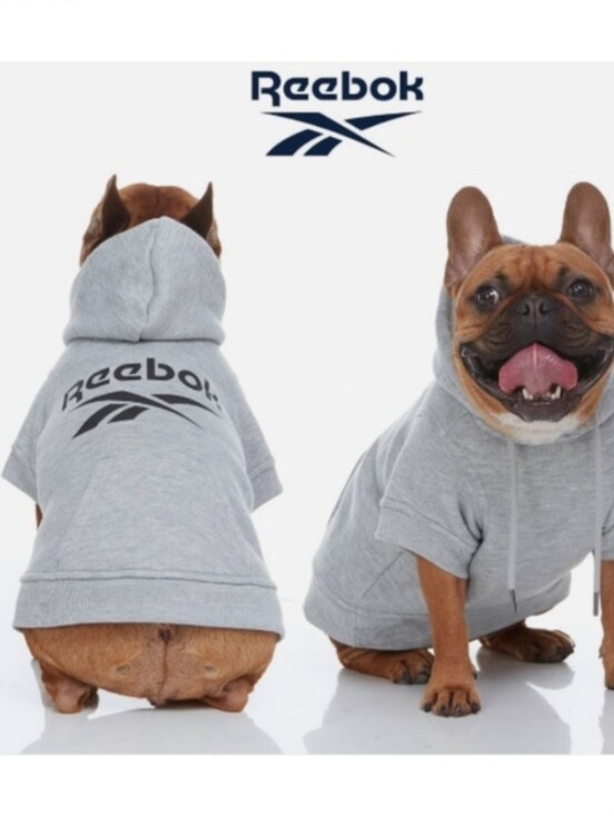 Reebok Other - Reebok Gray Medium Cotton Dog Hoodie Sweatshirt Shirt